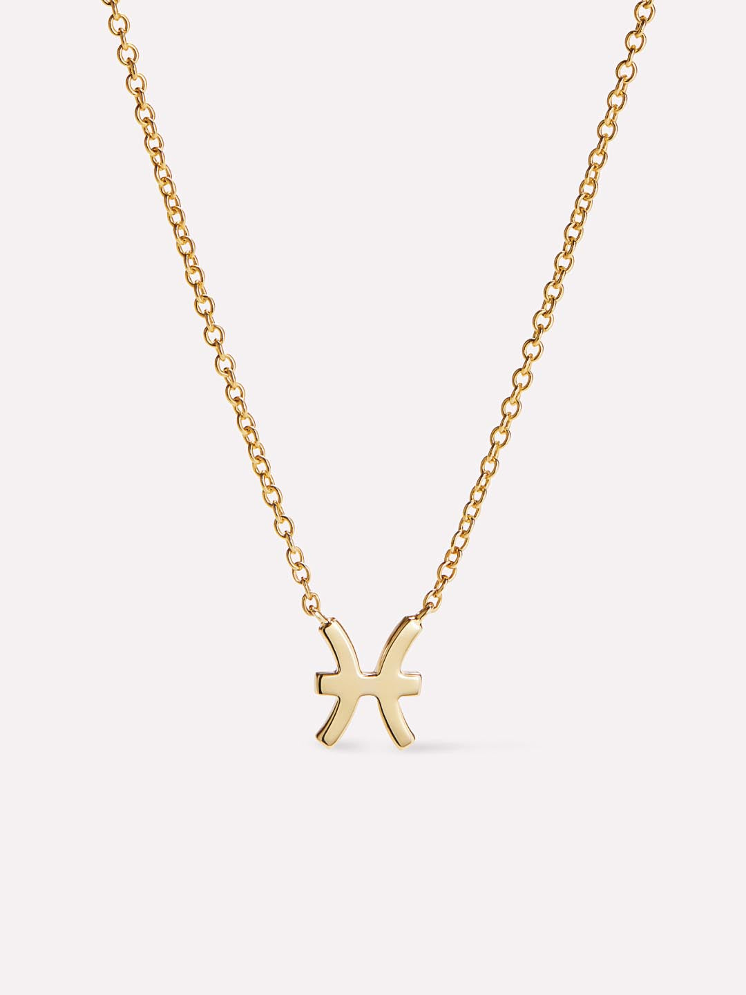 Ana Luisa Zodiac Necklace - Zodiac Necklace