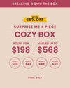 Surprise Me 4 Piece Cozy Box
