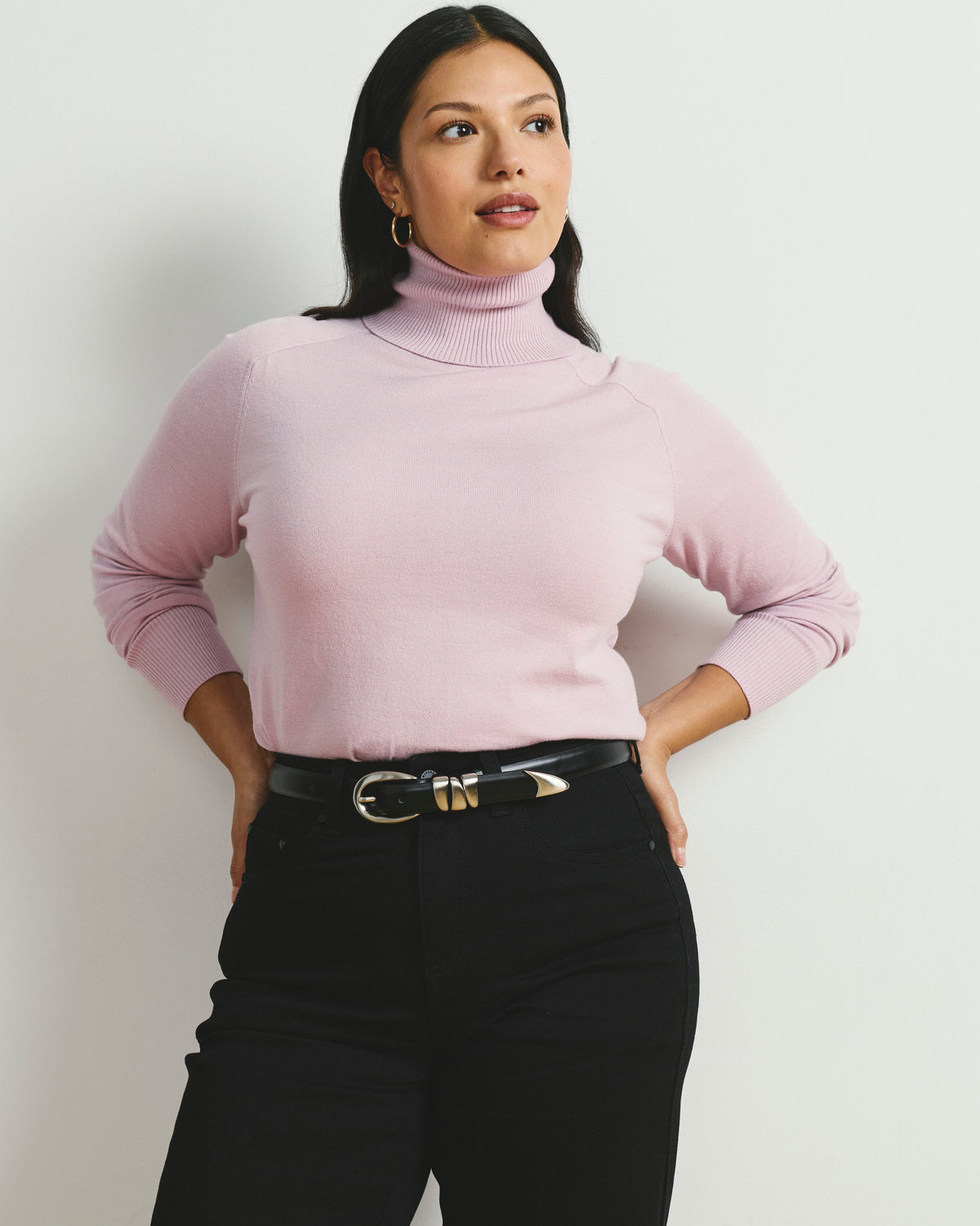 Renee Savvy Fine Knit Raglan Turtleneck - Pink Dreams