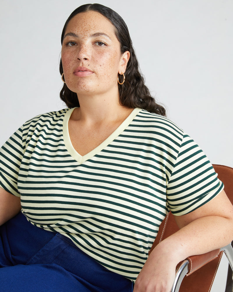 V Rex - Candle/Forest Green Stripe