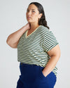 V Rex - Candle/Forest Green Stripe