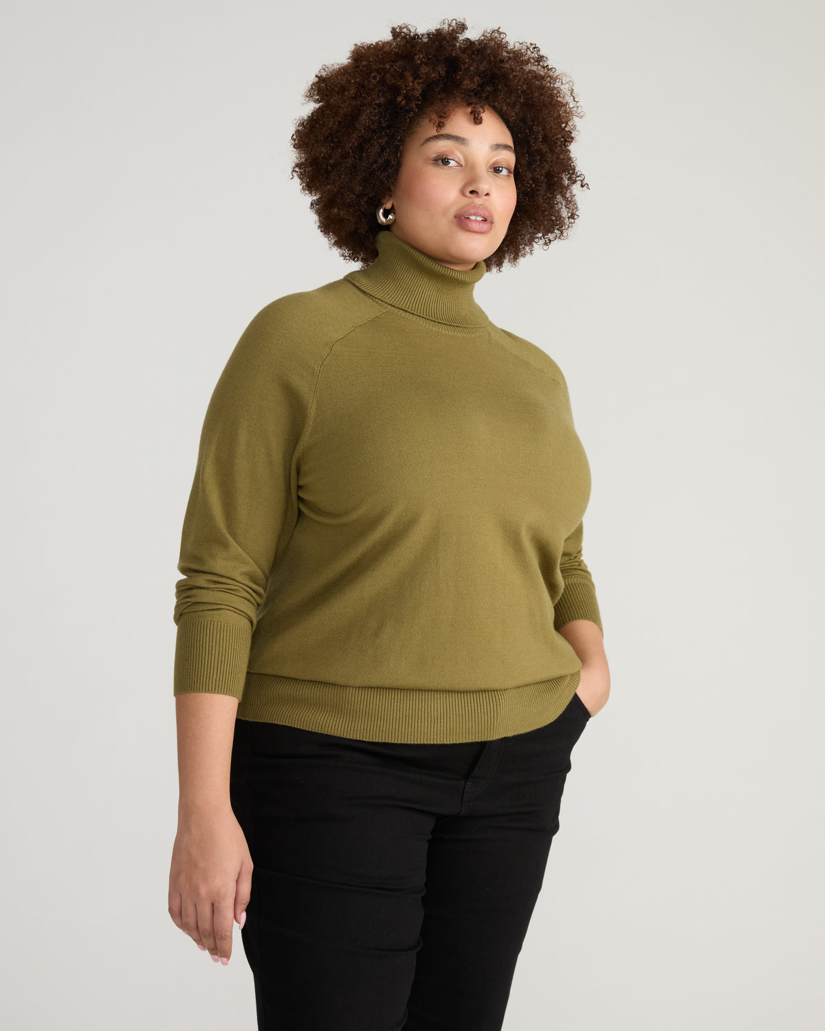 Renee Savvy Fine Knit Raglan Turtleneck - Capulet Olive